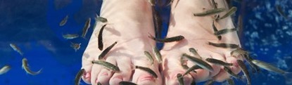 Fiskpedikyr Fiskpedikyr