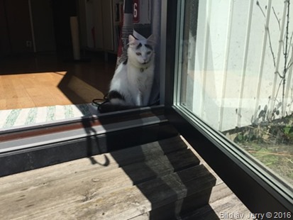 Maja 2016-07-20