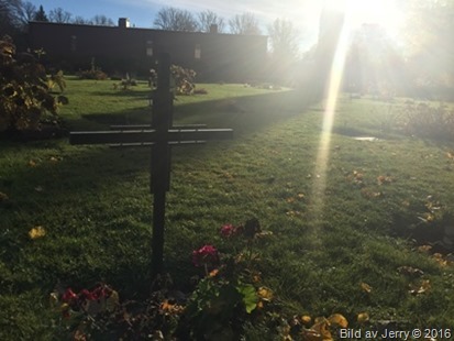 Nya kyrkogåraden 29 oktober 2016