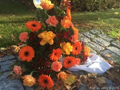 Blommor