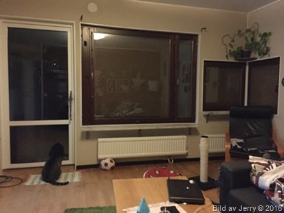Kalt i fönstren 1 november 2016 Kalt i fönstren 1 november 2016