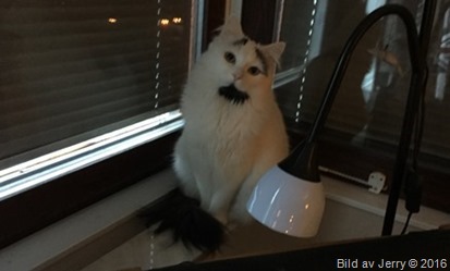 Första advent och Maja