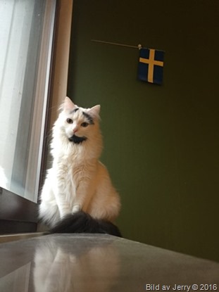 7 december 2016 Maja
