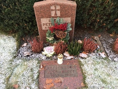 Graven 3 januari 2017