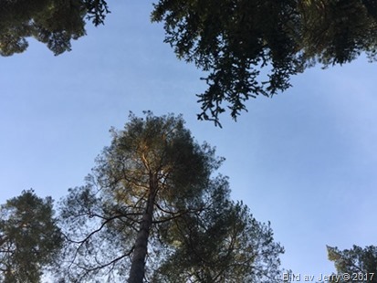 24 januari 2017 Himlen