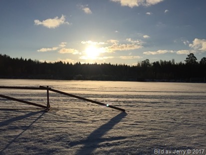 7 februari 2017 Förmiddagspromenad