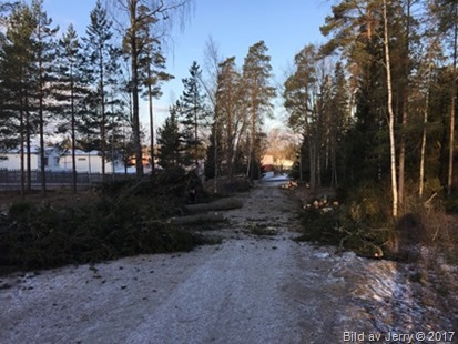 7 februari 2017 Förmiddagspromenad
