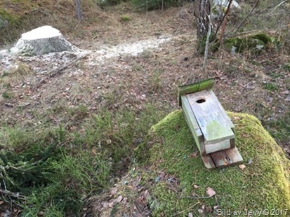 16 februari 2017 Fågelholk