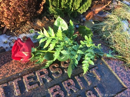 17 februari 2017 Mammas grav 17 februari 2017 Mammas grav
