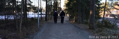13 februari 2017 Ensamheten