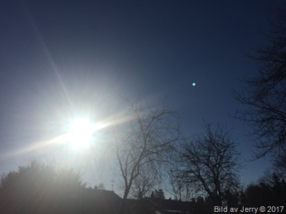 6 mars 2017 Träd och solen