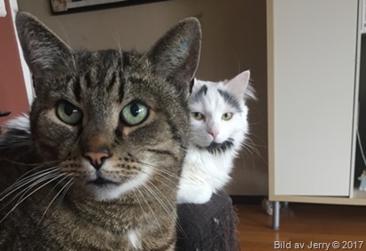 10 mars 2017 Maxi och Maja