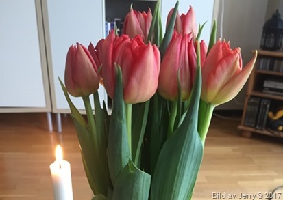 10 mars 2017 Tulpan och stearinljus