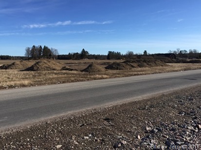 170316_06 Fullerö Hage