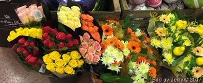13 april 2017 Blommor