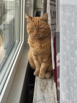 20 april 2017 Felix 20 april 2017 Felix