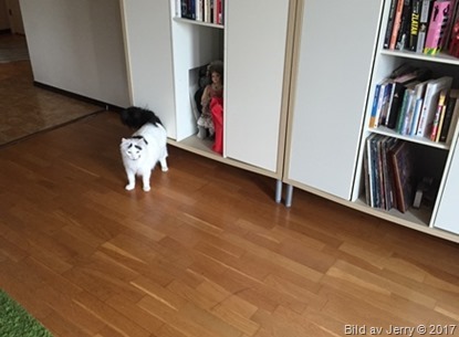 20 april 2017 Maja 20 april 2017 Maja