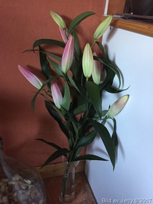 26 april 2017 Blombukett 26 april 2017 Blombukett
