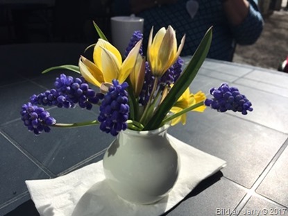 5 maj 2017 Fika i solen