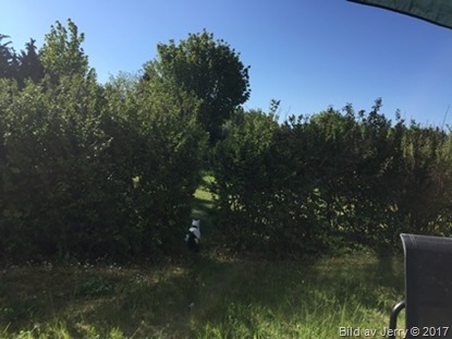 28 maj 2017 Maja
