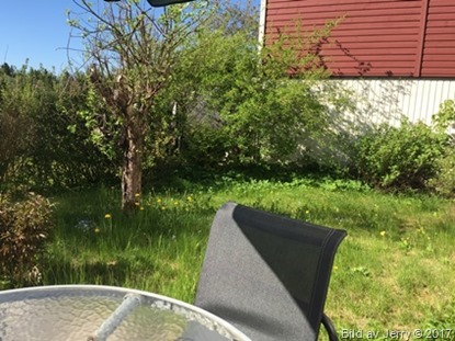 28 maj 2017 Gräsmatta