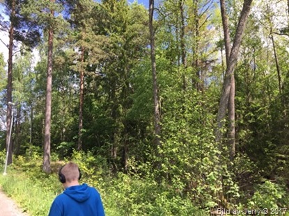 11 juni 2017 Promenad till Tipptoppen