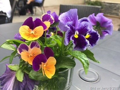 15 juni 2017 Blommor på jobbet 15 juni 2017 Blommor på jobbet