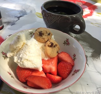 17 juni 2017 Fika med jordgubbar och glass