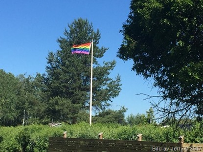 1 juli 2017 Regnbågsflaggan
