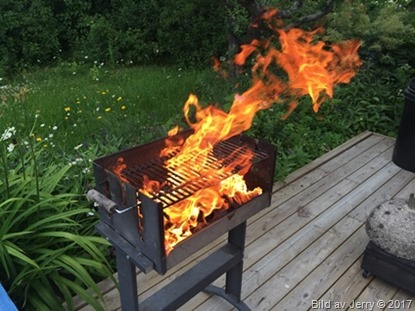 8 juli 2017 Grill i Husbyborg