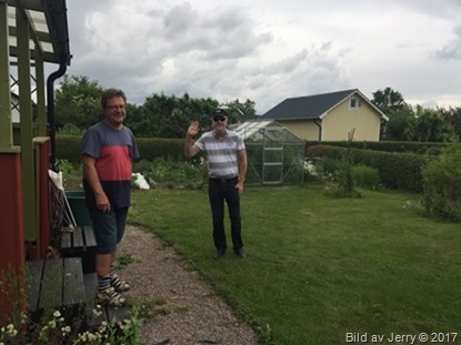 Pelargoner i Husbyborg