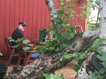 8 juli 2017 Grill i Husbyborg