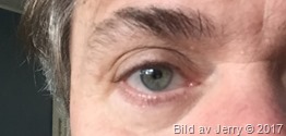 Ögat