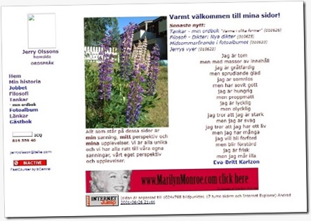Min första hemsida med ordbok 2001