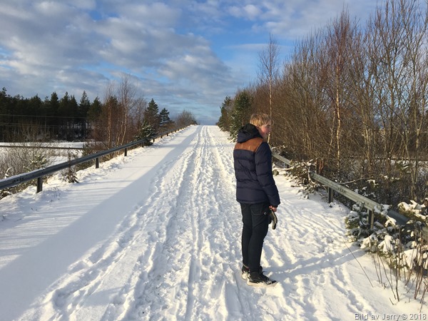 20 januari 2018 Fullerö Hage