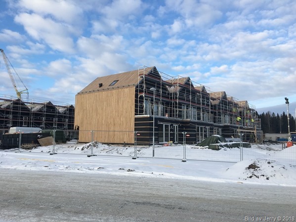 20 januari 2018 Fullerö Hage