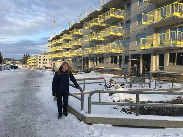 20 januari 2018 Fullerö Hage