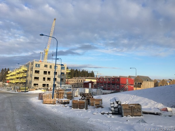 20 januari 2018 Fullerö Hage