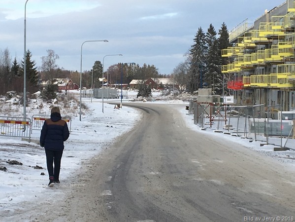 20 januari 2018 Fullerö Hage