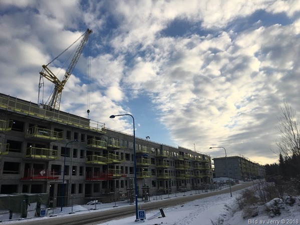 20 januari 2018 Fullerö Hage