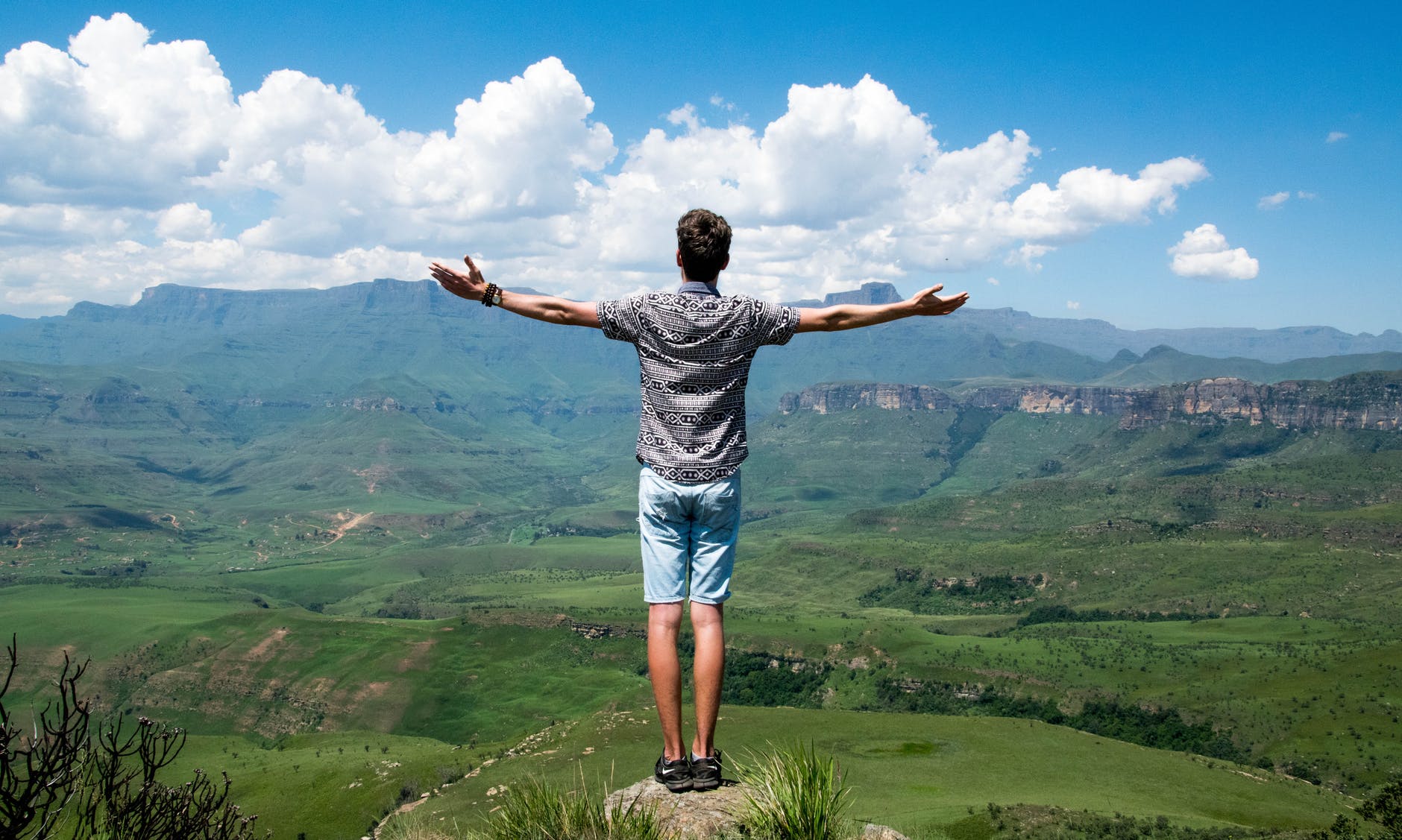 pexels-photo-103123.jpeg