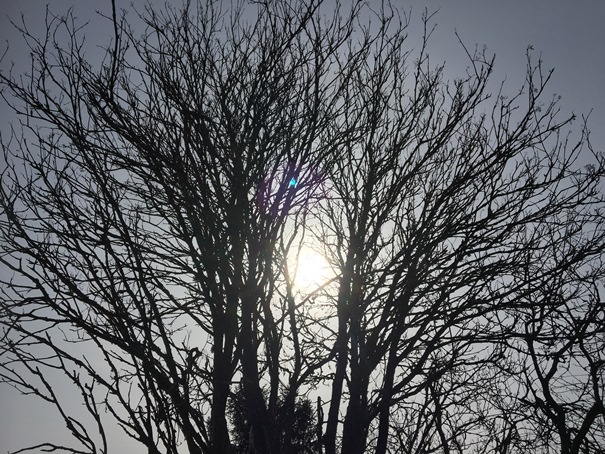 7 april 2018 Solen