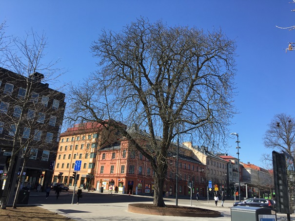 Trädet Resecentrum