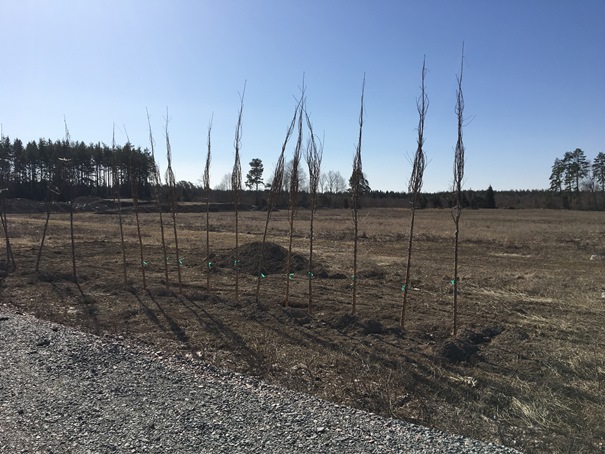 14 april 2018 Fullerö Hage 02