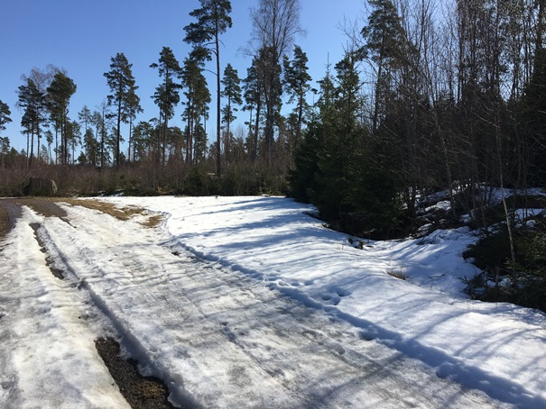 14 april 2018 Fullerö Hage 20