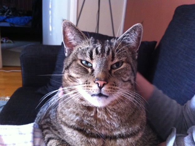 Maxi okt 2011