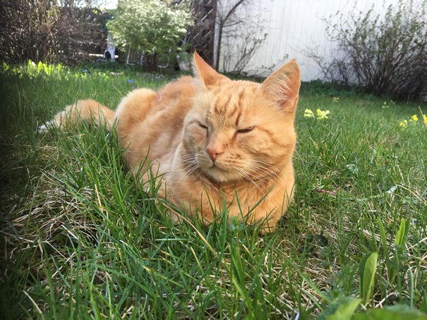 180505_felix