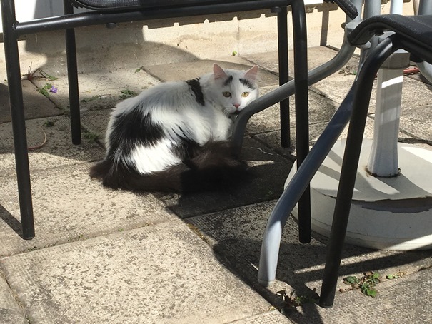 180505_Maja2