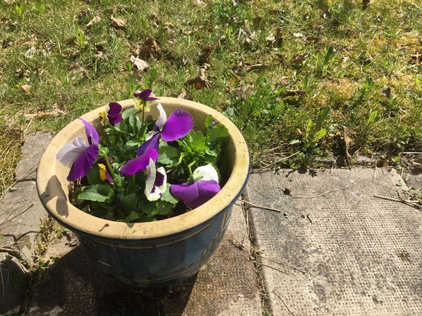 180506_penseerhemma