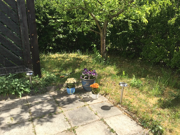 180526 Blommorna baksidan